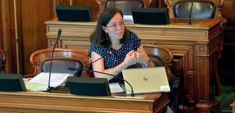 Pérennisation des Haltes Soins Addiction - Camille NAGET - juin 2025