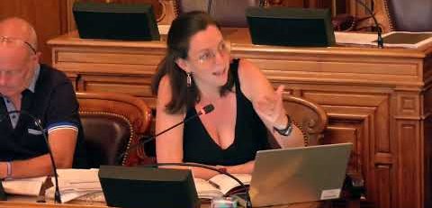 Subventions à des actions d'hébergement d'urgences familles et de jeunes en errance - Camille NAGET